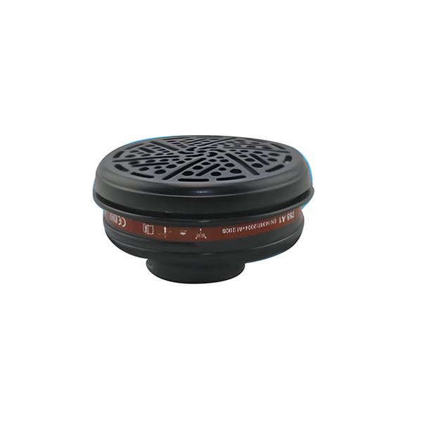 FILTRO RECAMBIO 757-N A1   2 UNIDADES