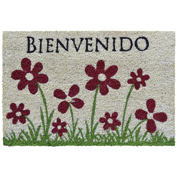Felpudo coco Fun Bienvenido 40x60 cm.